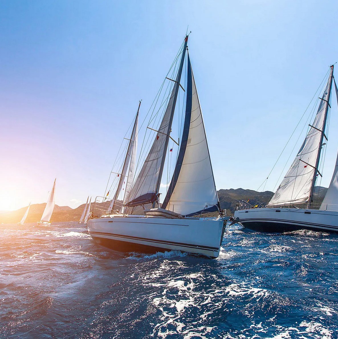 Как быстро и без лишней суеты получить права на парусное судно в России?